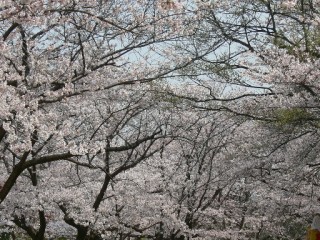 �t���[��